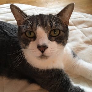 Meet your Posher, Fumiko